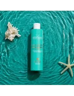 Shampoo Seboregolatore all'Alga Kelp. Detersione purificante, delicata 2