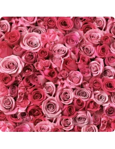 Shampoo in Polvere alla Rosa Biologico Refill - Ricarica - 250 gr 2
