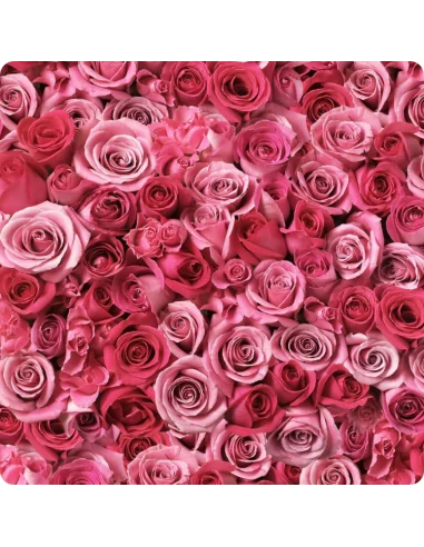 Shampoo in Polvere alla Rosa Biologico Refill - Ricarica - 250 gr