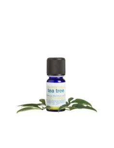 Olio Essenziale di Tea Tree BIO - Albero del Té 2