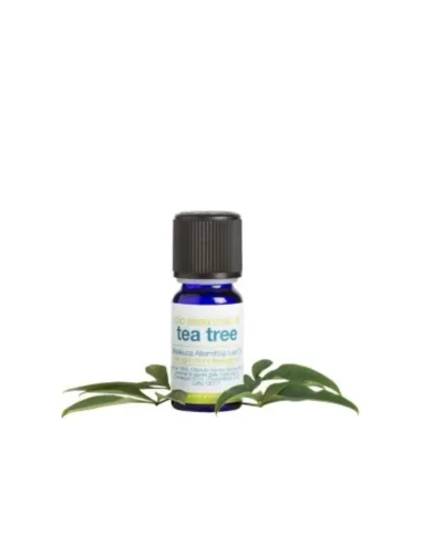 Olio Essenziale di Tea Tree BIO - Albero del Té