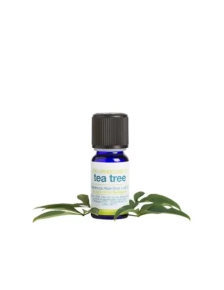 Olio Essenziale di Tea Tree BIO - Albero del Té