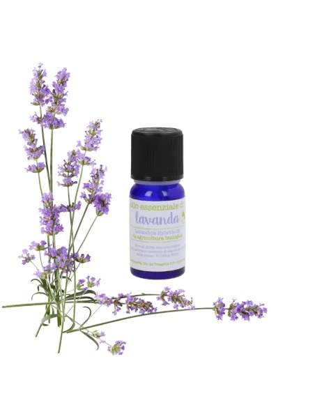 Olio Essenziale di Lavanda Bio - Relax e Bellezza Naturale - Puro al 100%