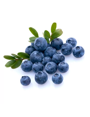 Crema Viso Nutriente Bio Mirtilla al Mirtillo