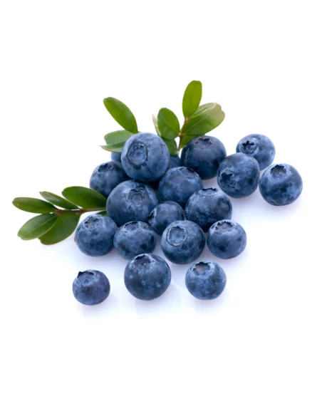 Crema Viso Nutriente Bio Mirtilla al Mirtillo