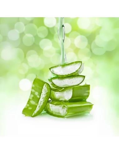 Gel Aloe Vera Puro per Viso - Capelli - Corpo Biologico