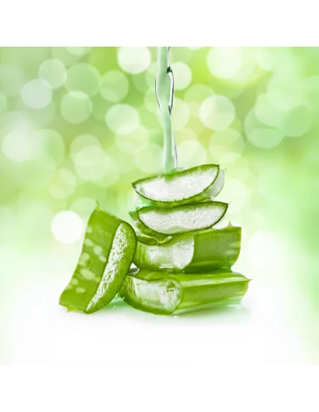 Gel Aloe Vera Puro per Viso - Capelli - Corpo Biologico