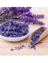 Lavanda